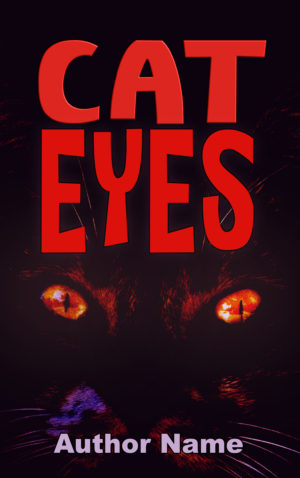 Cat Eyes premade book covers