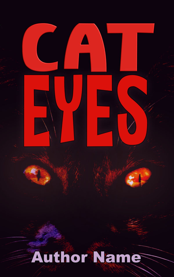 Cat Eyes premade book covers Suzy Turner