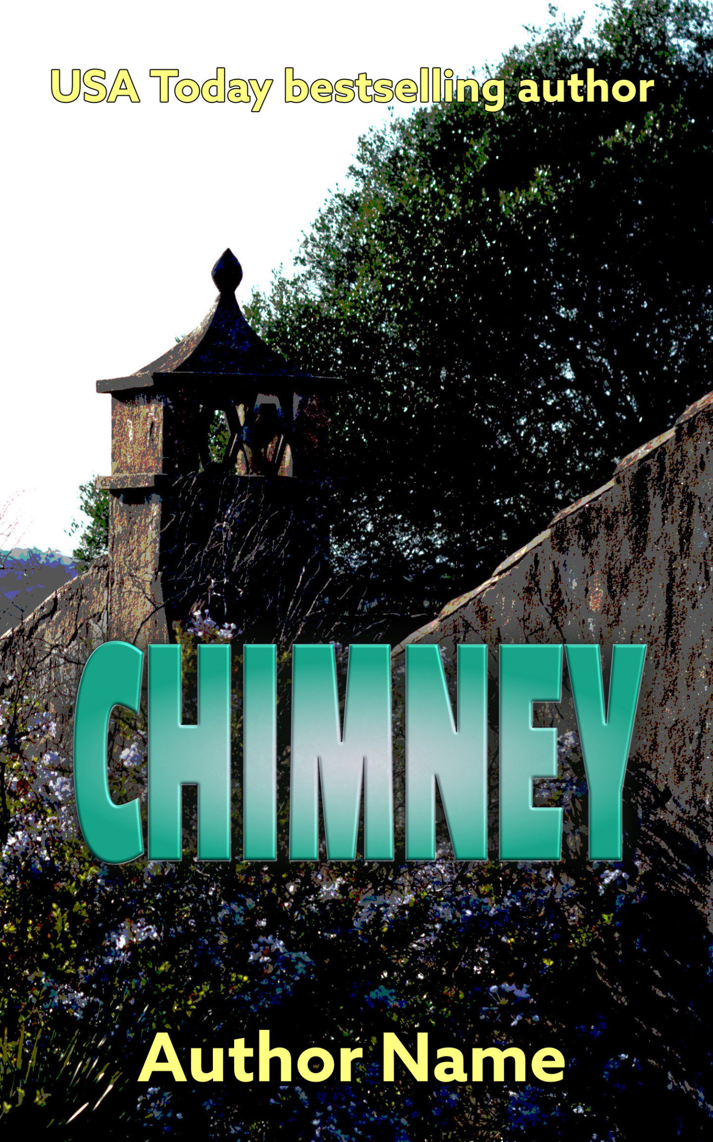Chimney book cover